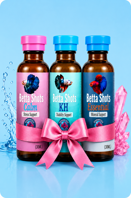 Complete Betta Water Routine