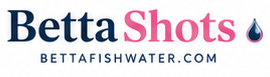 BettaFishWater.com